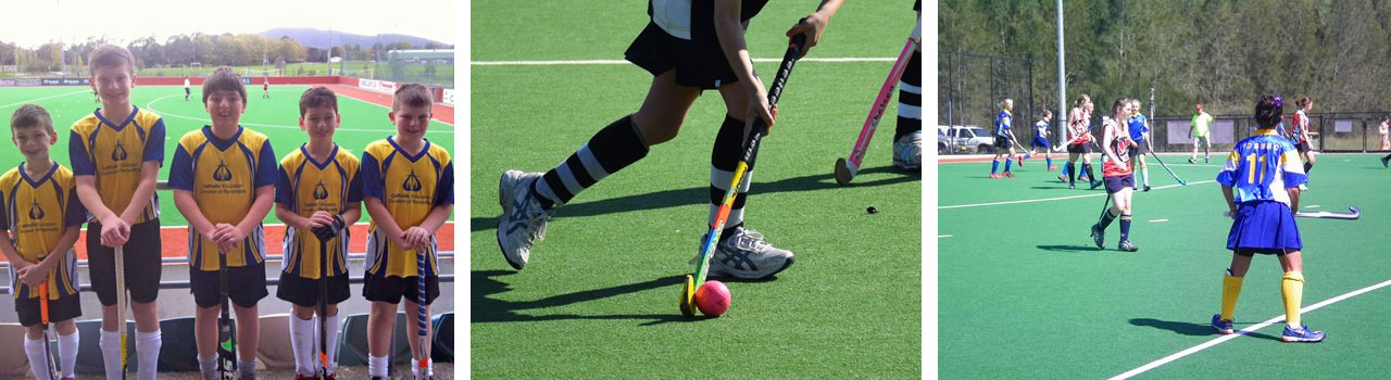 PDCPSSC Selections Hockey